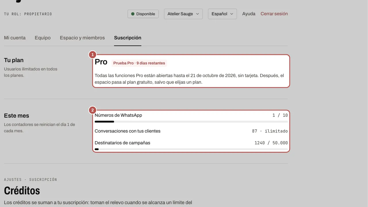 Tu plan durante la prueba Pro y los contadores del mes