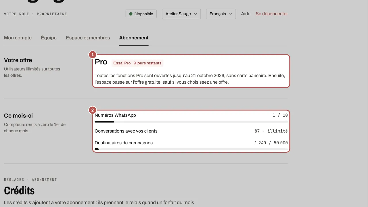 Votre offre pendant l’essai Pro, et les compteurs du mois