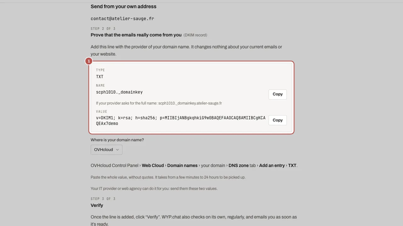 Step 2 of the “Send from your own address” setup: the TXT line to add with your domain provider, with its Name and Value and a Copy button for each (1)